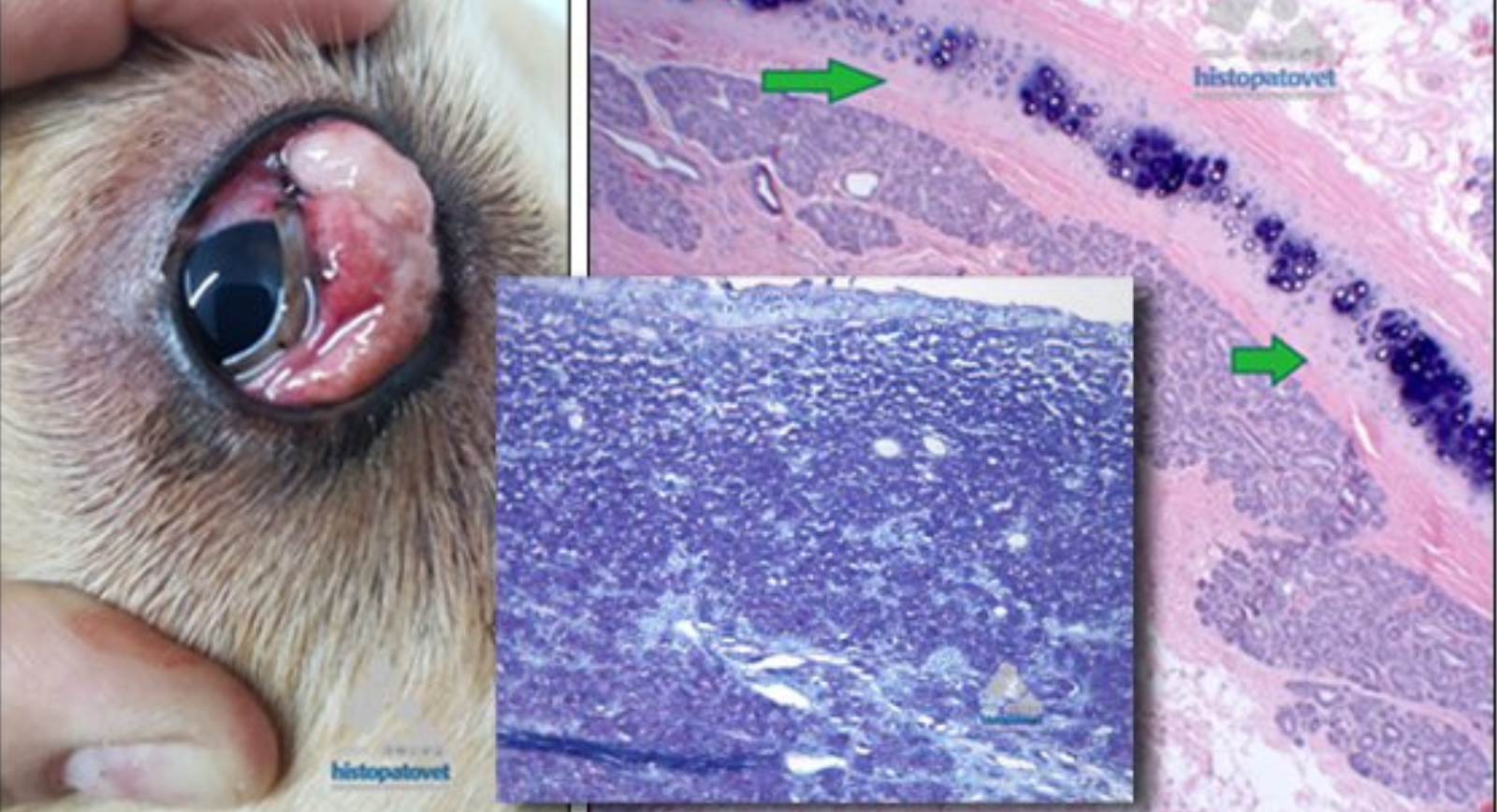 Agosto-Diciembre,2019