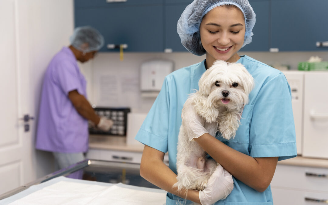 ¿Qué hace un patólogo veterinario? todo sobre su rol en la salud animal